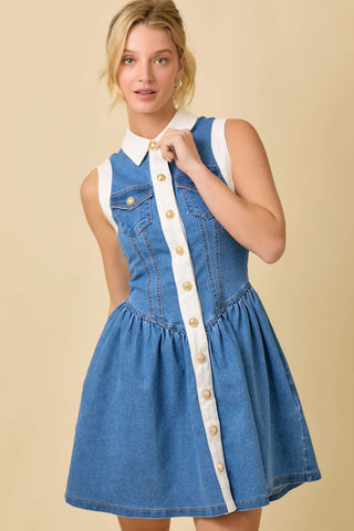 Danna Denim Sleeveless Mini Dress