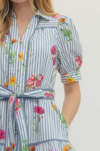 Rosalee Blue Floral Striped Mini Dress