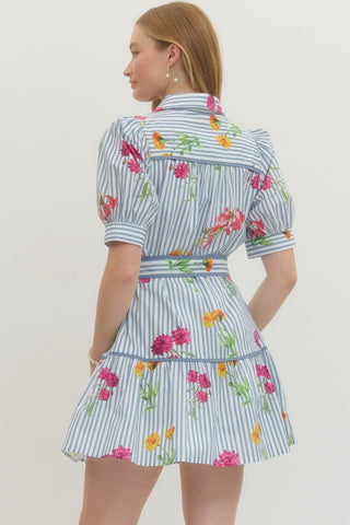 Rosalee Blue Floral Striped Mini Dress
